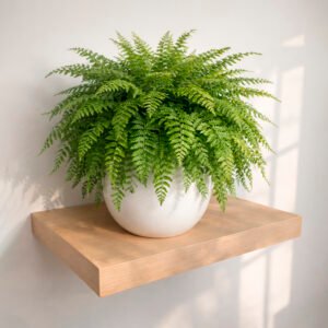 Repisa Flotante Germany