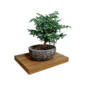 Repisa Flotante Caramelo