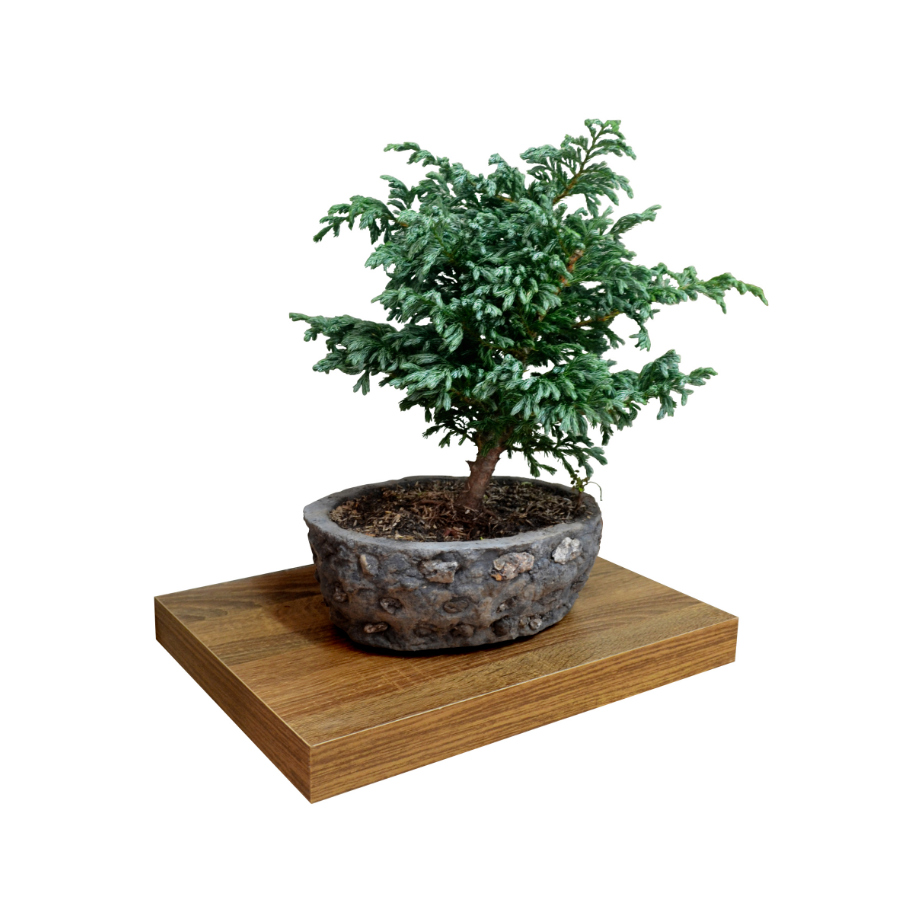 Repisa Flotante Caramelo - Image 2